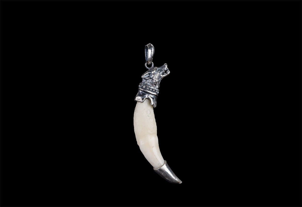NATURAL WOLF TUSK - Rock and Jewel
