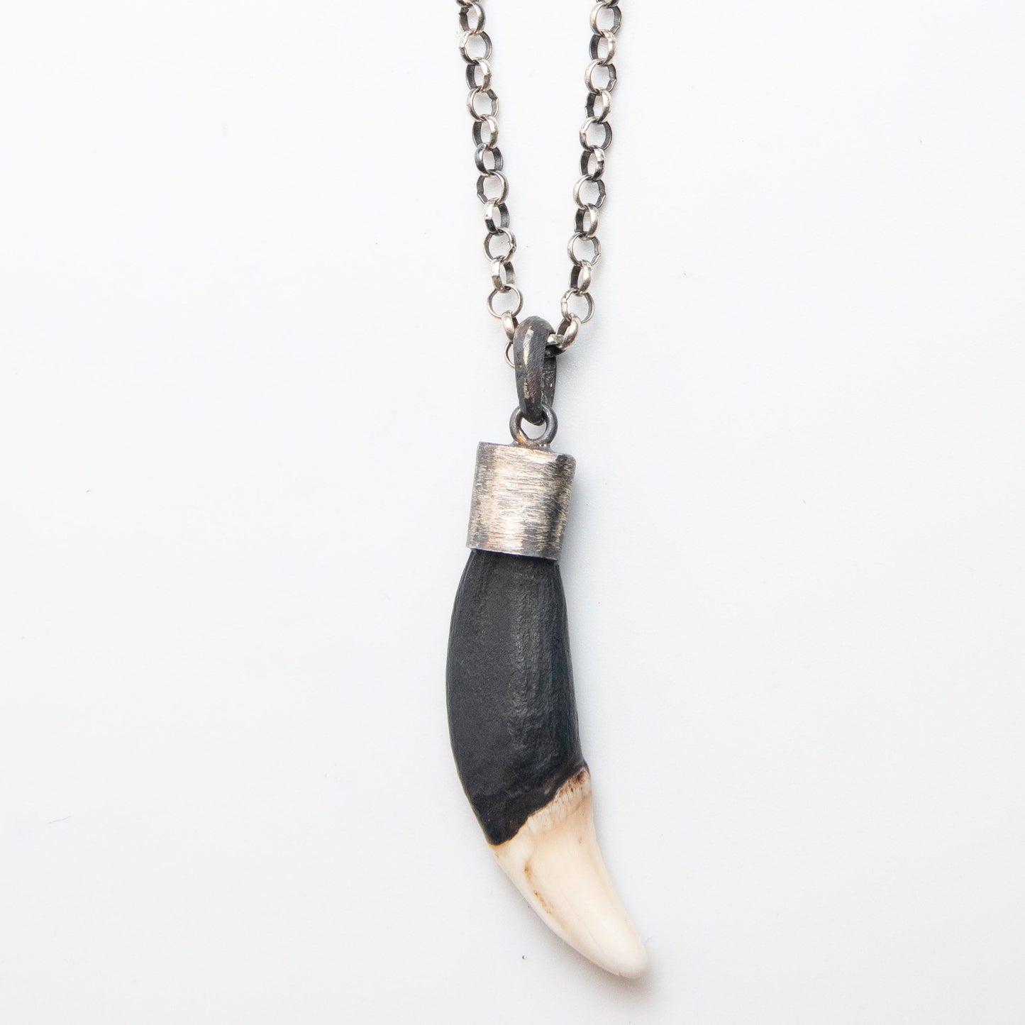 WHITE & BROWN TUSK