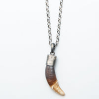 WHITE & BROWN TUSK