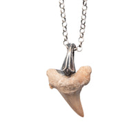 SHARK TOOTH SILVER