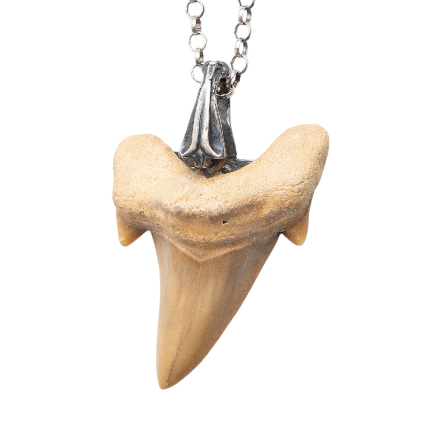 SHARK TOOTH SILVER