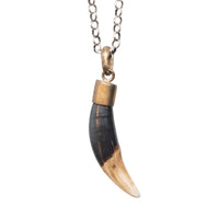 WHITE & BROWN TUSK LIGA