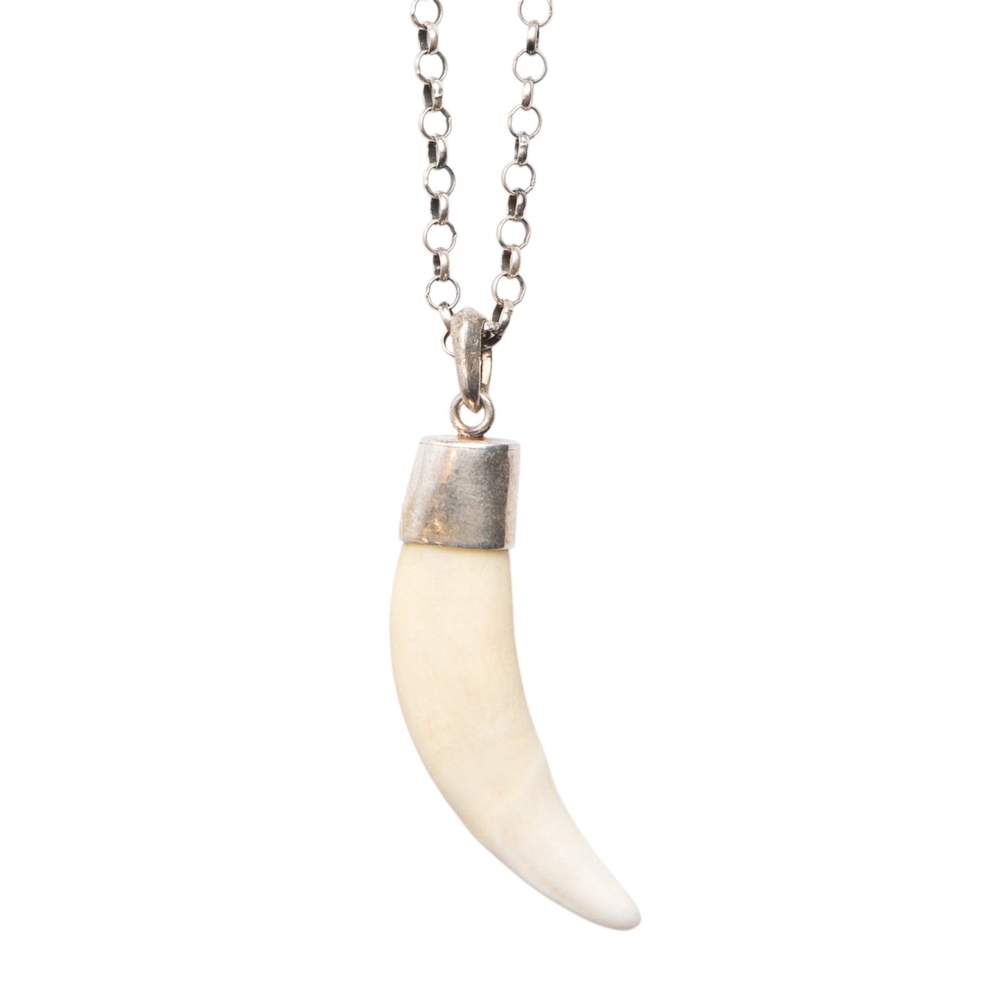WHITE TUSK