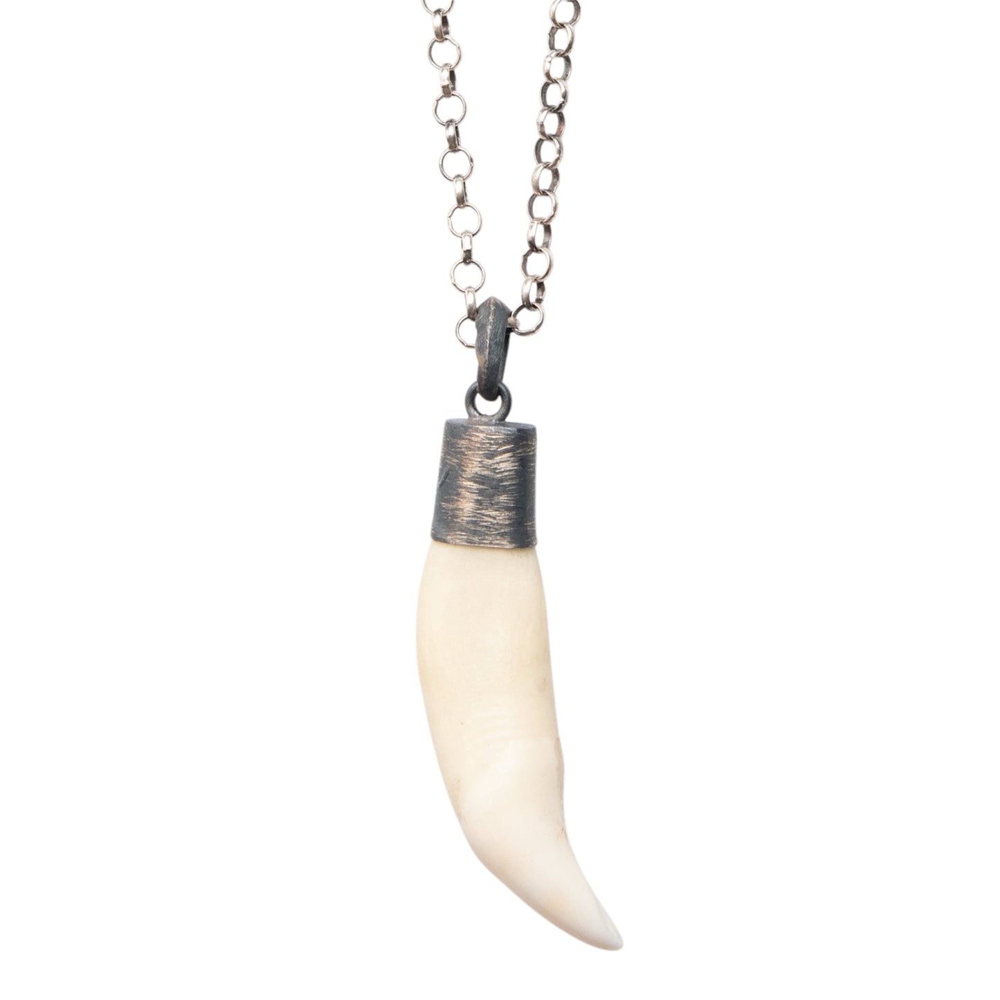 WHITE TUSK