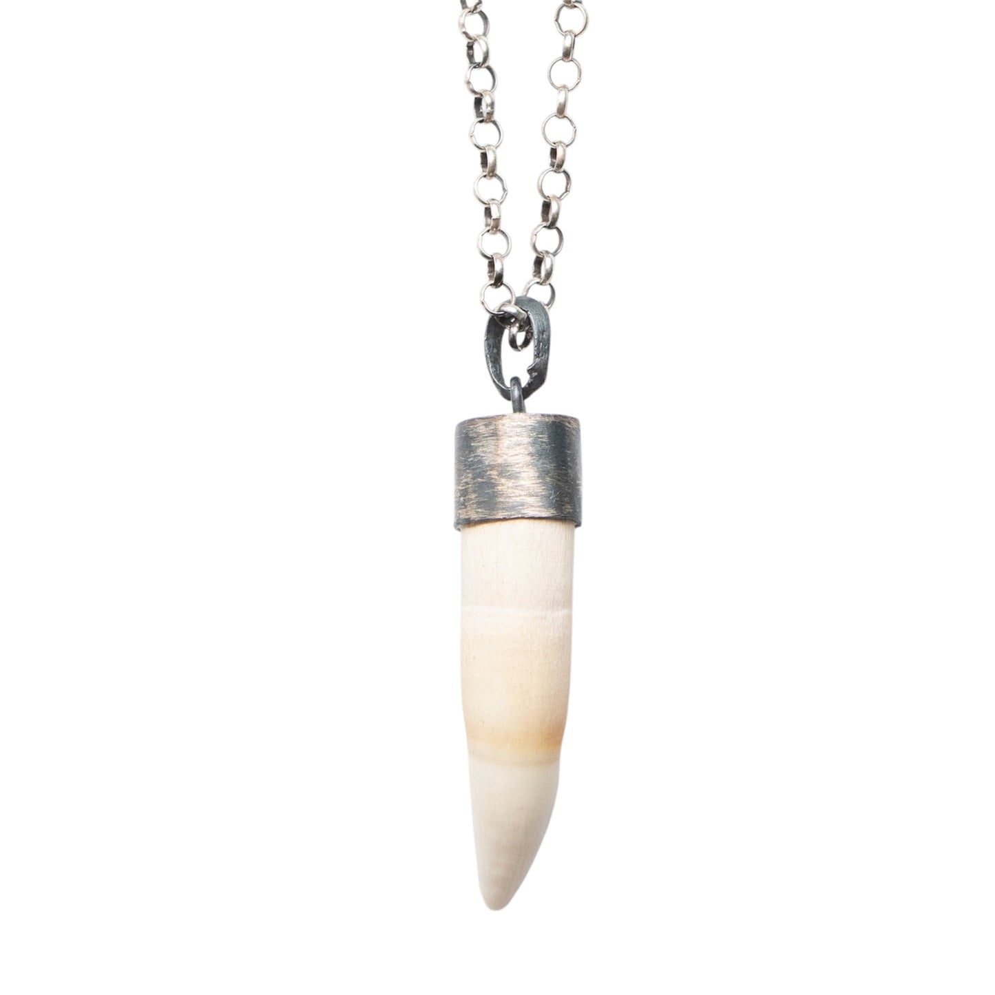 WHITE TUSK