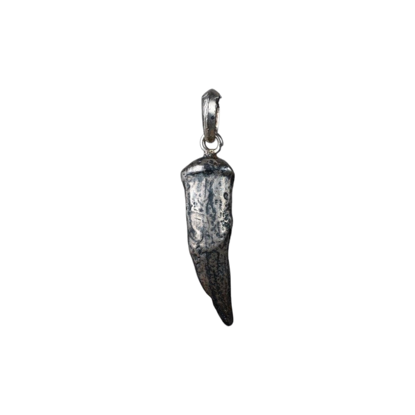 SALT WATER CROCODILE TOOTH