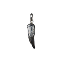 SALT WATER CROCODILE TOOTH