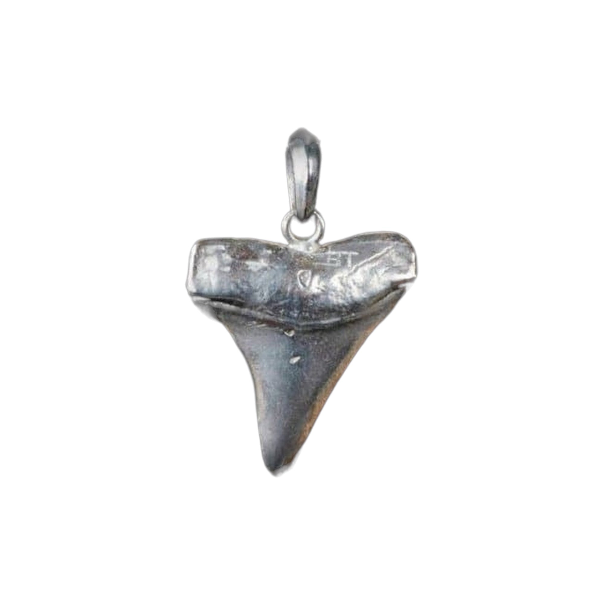 SILVER SHARK TOOTH