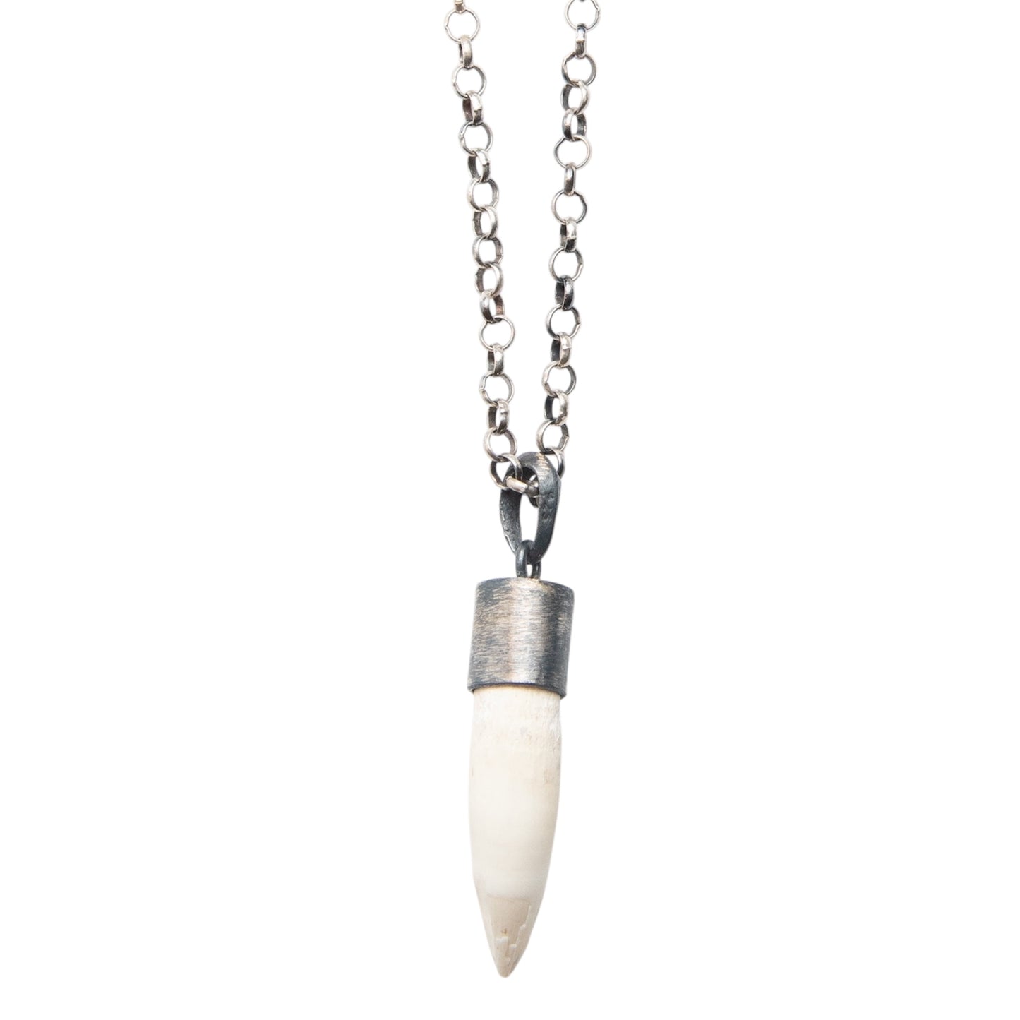 WHITE CROCODILE TOOTH