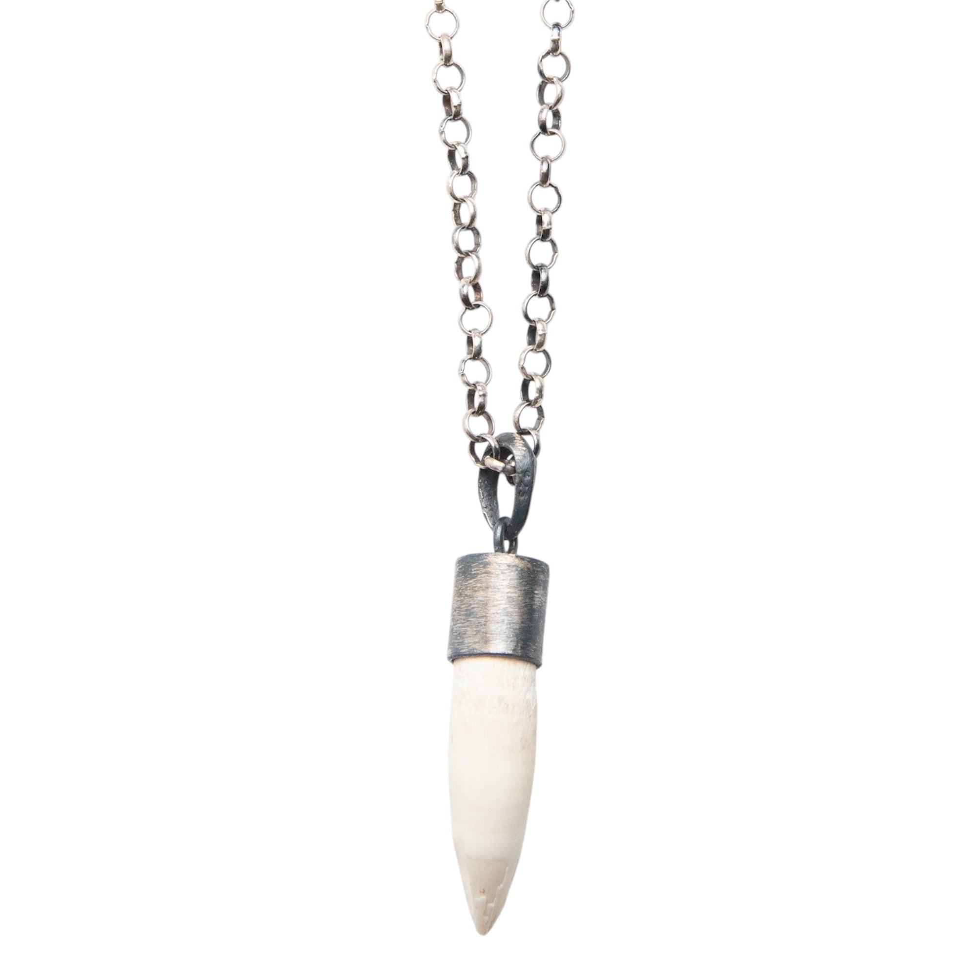 NATURAL CROCODILE TOOTH