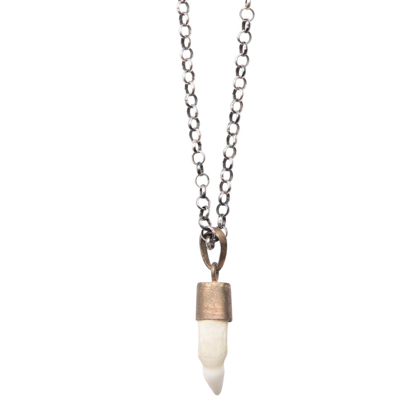 WHITE CROCODILE TOOTH