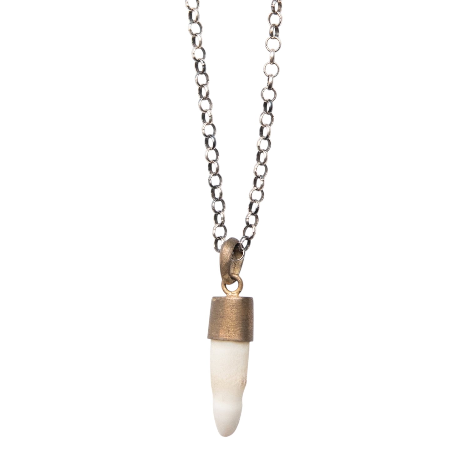 WHITE CROCODILE TOOTH