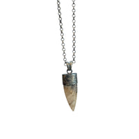 STONE HORN