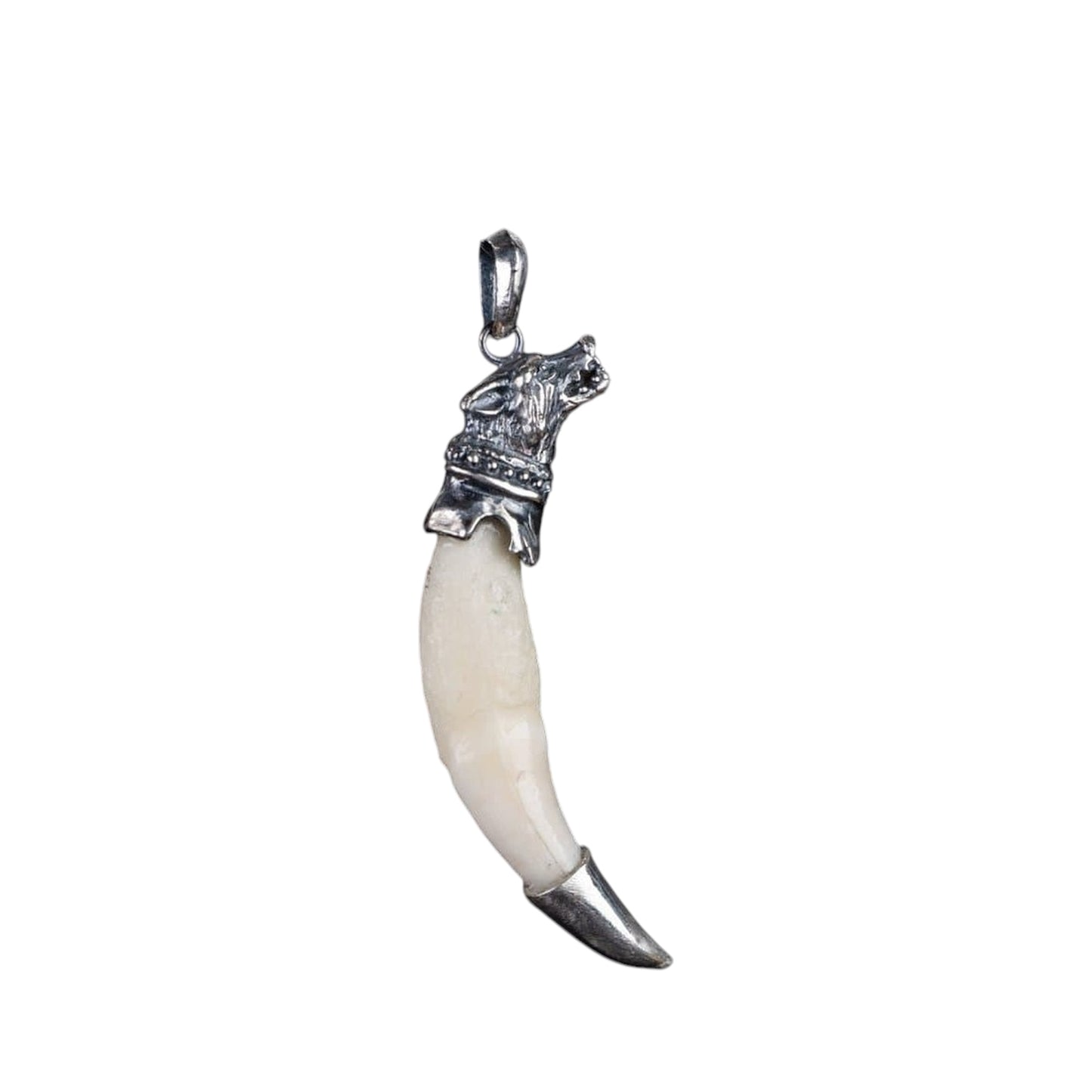 WOLF TUSK (WITH SILVER)