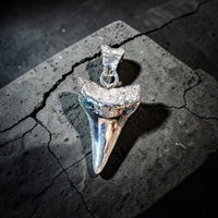 G.W. SHARK TOOTH (SILVER)