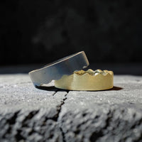 SPLIT EVEN POLISHED N DARK RING
