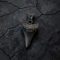 G.W. SHARK TOOTH (BLACK)