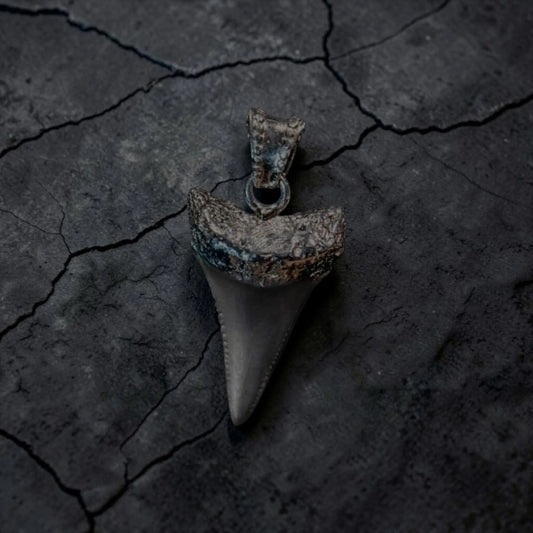 G.W. SHARK TOOTH (BLACK)