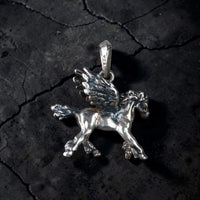 PEGASSUS