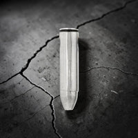 .357 SILVER BULLET