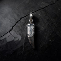 SALT WATER CROCODILE TOOTH
