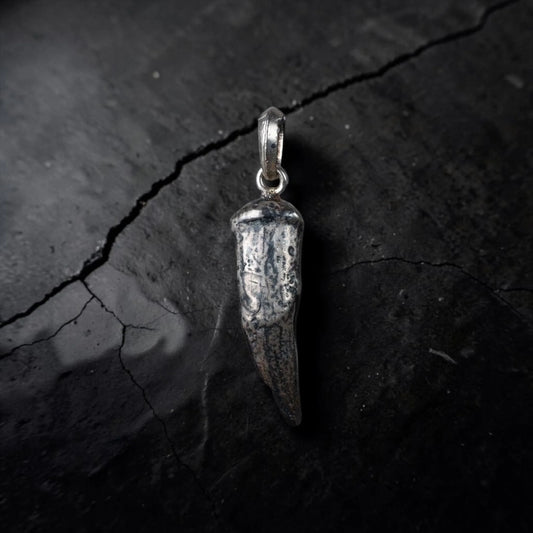 SALT WATER CROCODILE TOOTH