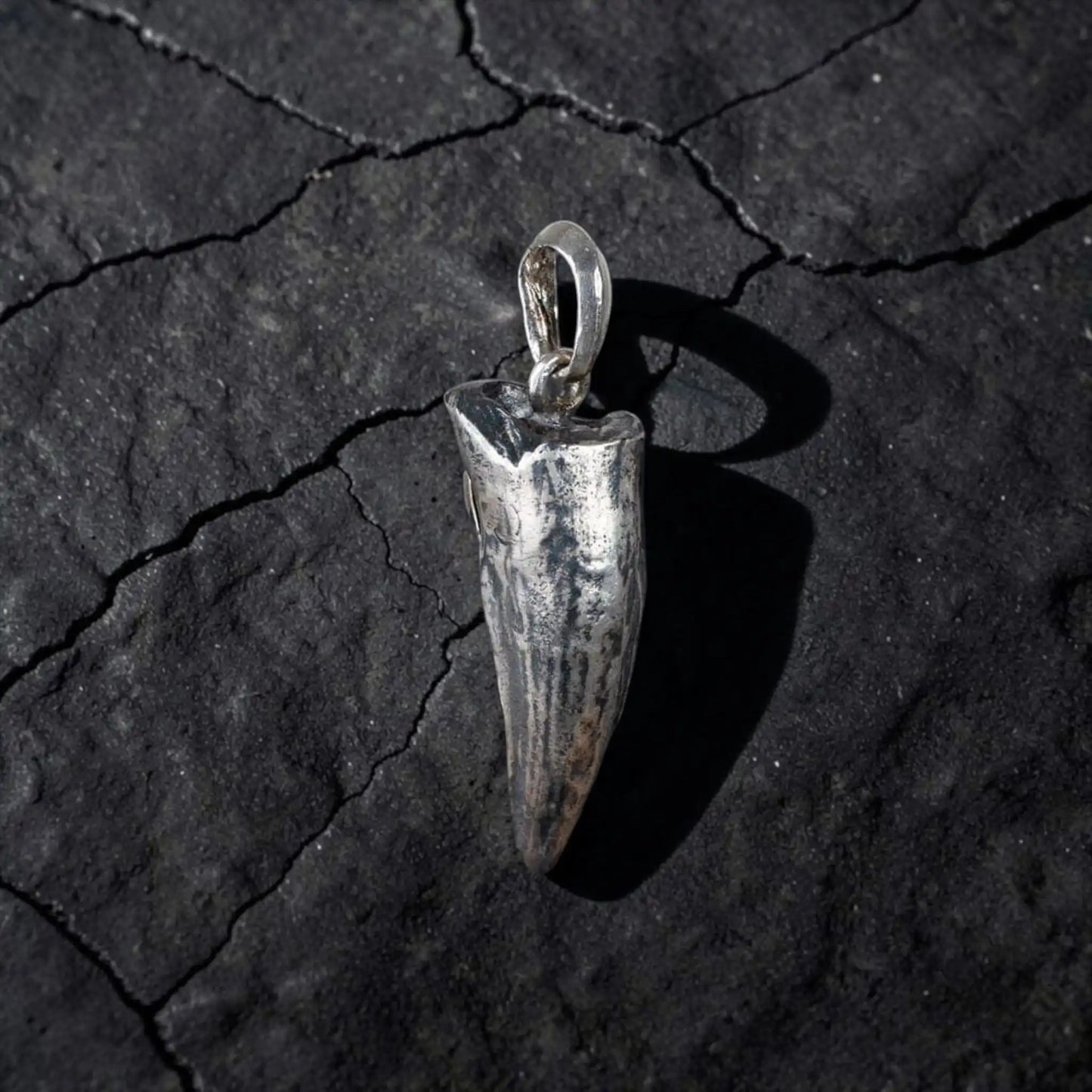 CROCODILE TOOTH