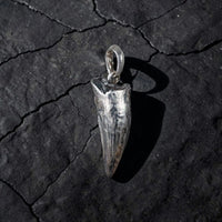 CROCODILE TOOTH