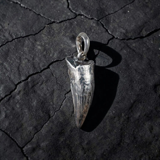 CROCODILE TOOTH
