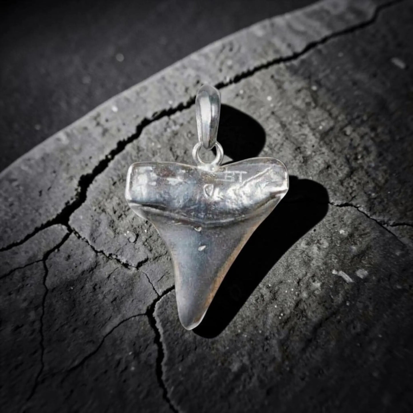 SILVER SHARK TOOTH