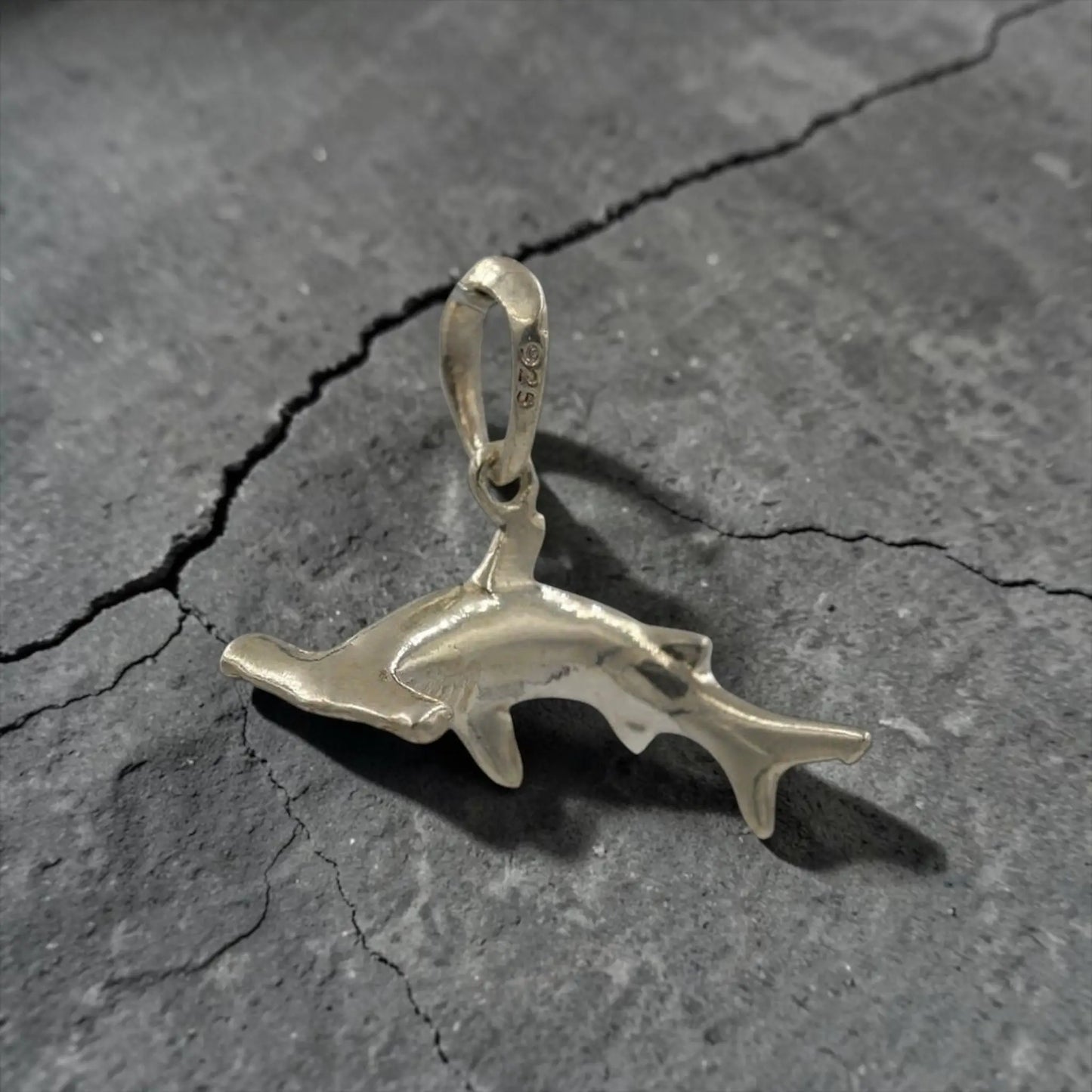 SMALL HAMMER SHARK