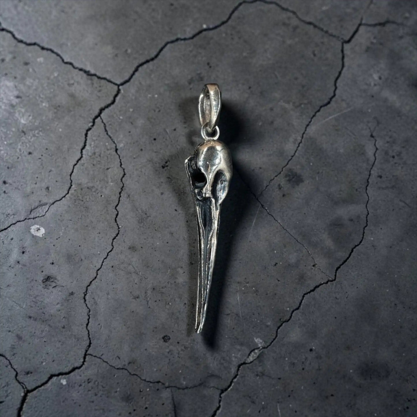 LARGE CUERVO SKULL