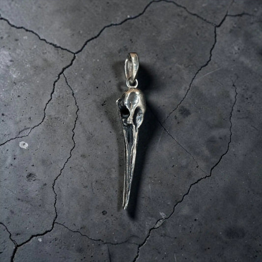 LARGE CUERVO SKULL