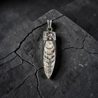CROSSBONE SKULL HORN ORCELA FOSIL