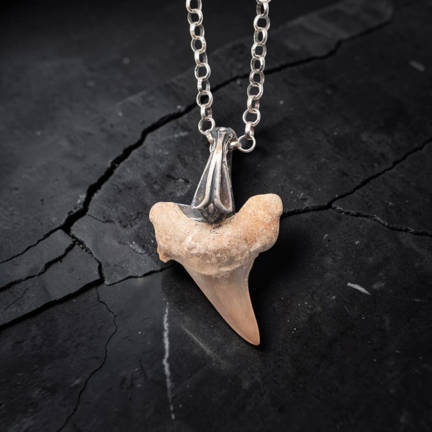 SHARK TOOTH SILVER