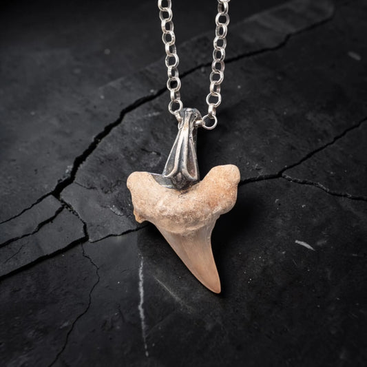 SHARK TOOTH SILVER