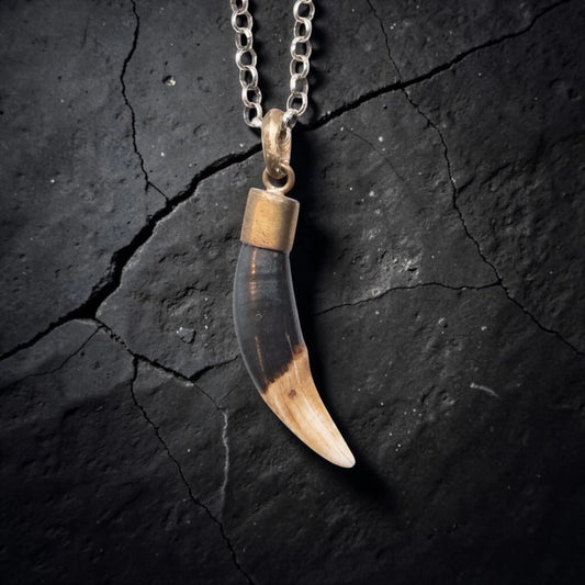 WHITE & BROWN TUSK LIGA