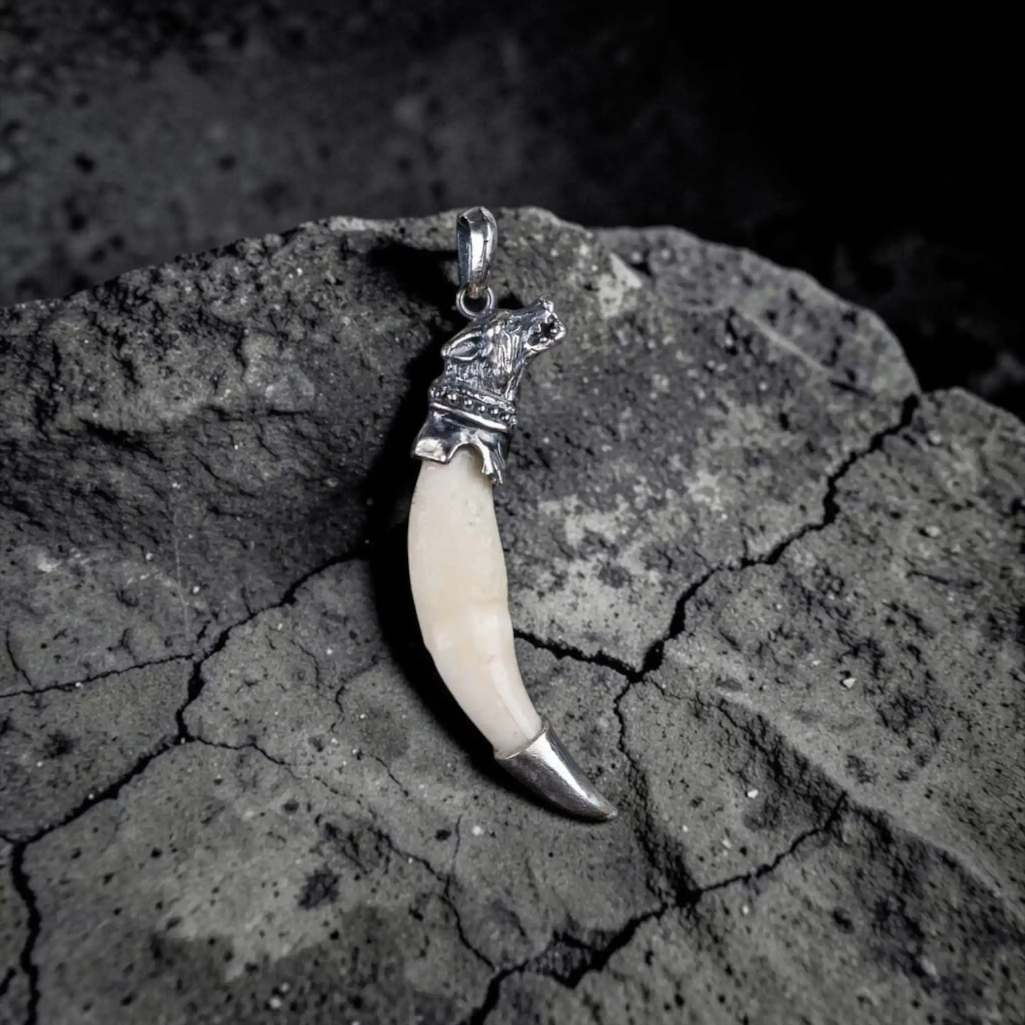 WOLF TUSK (WITH SILVER)