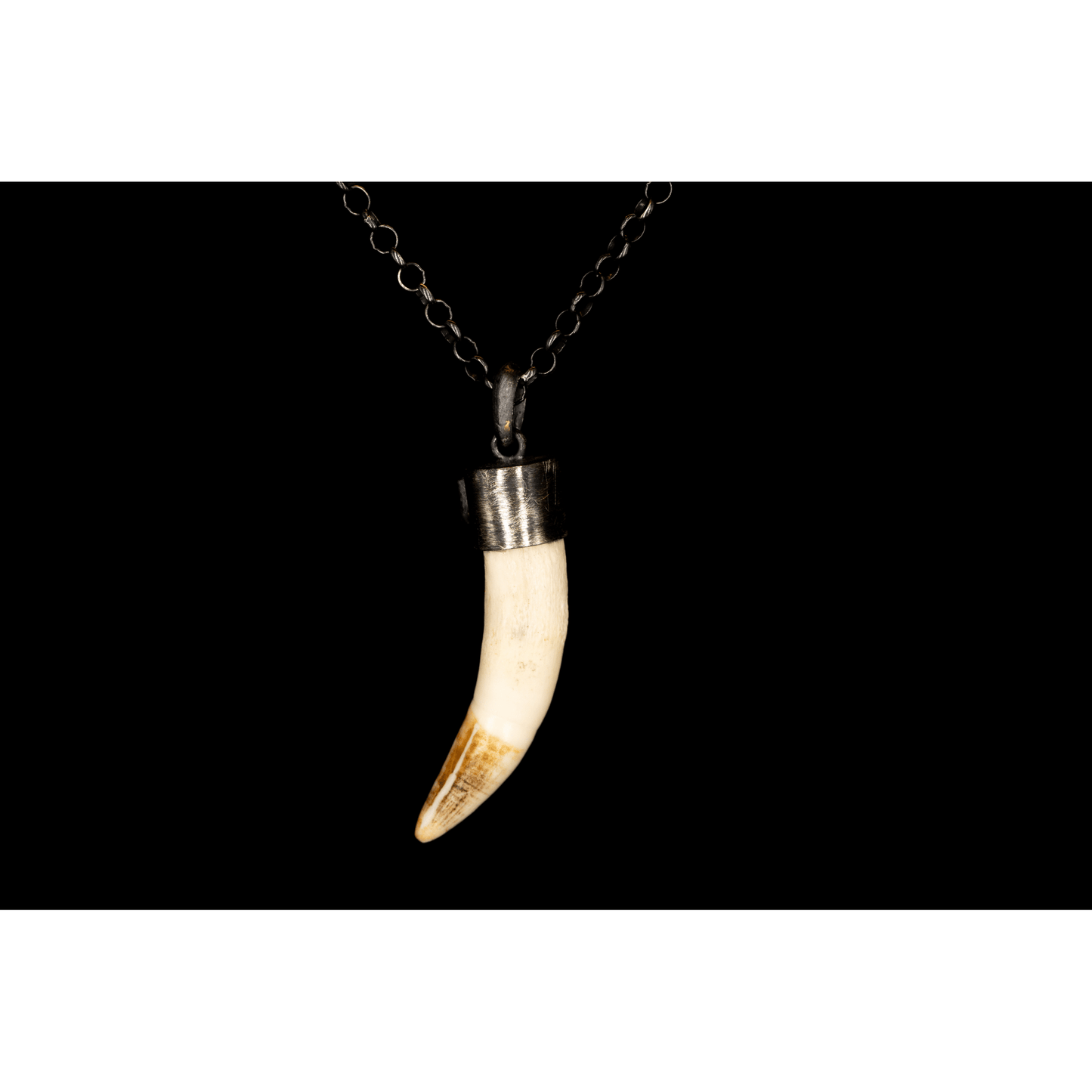 WHITE TUSK