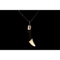 WHITE & BROWN TUSK