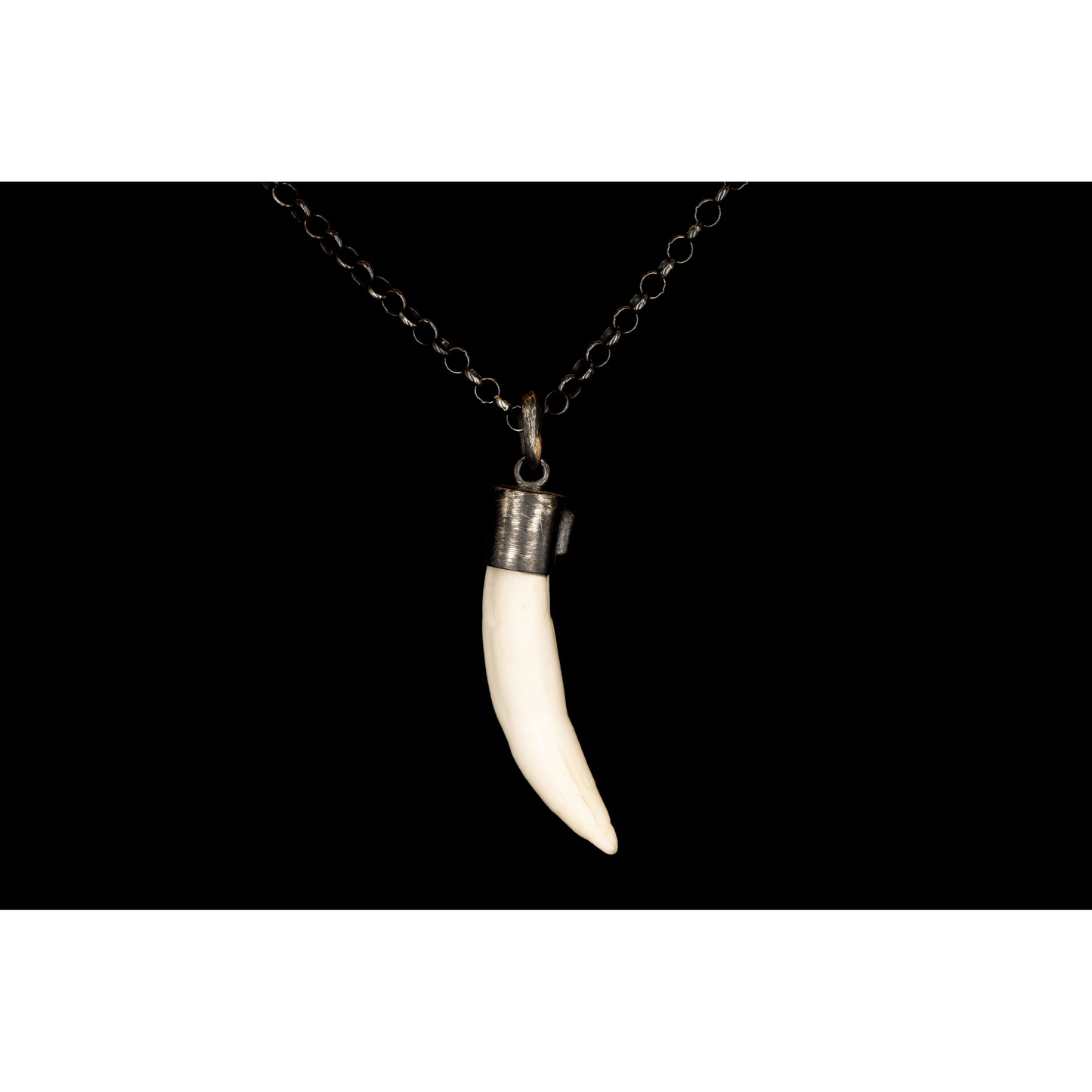 WHITE TUSK