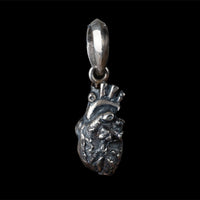 ANATOMIC ARTERY HEART - Rock and Jewel
