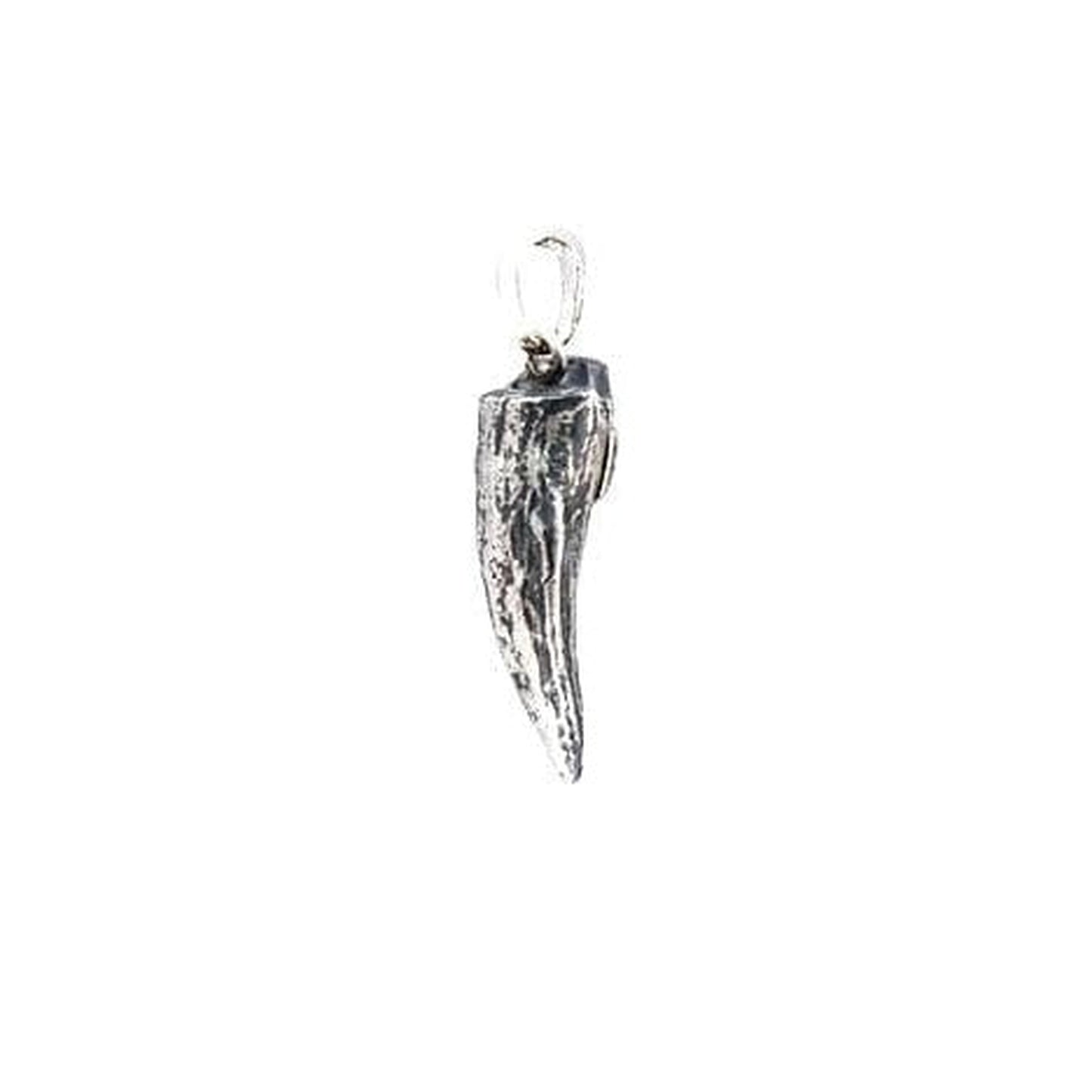 CROCODILE TOOTH - Rock and Jewel