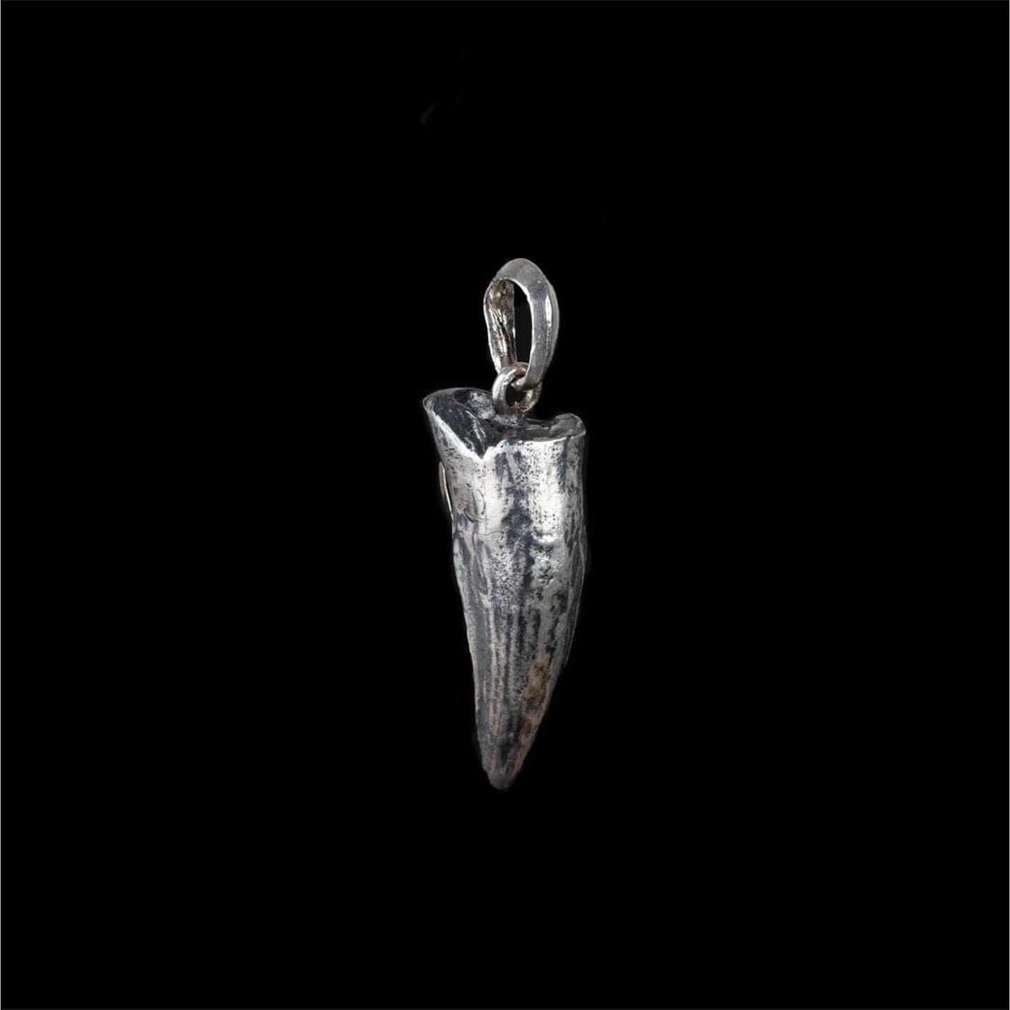 CROCODILE TOOTH - Rock and Jewel