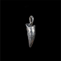 CROCODILE TOOTH - Rock and Jewel