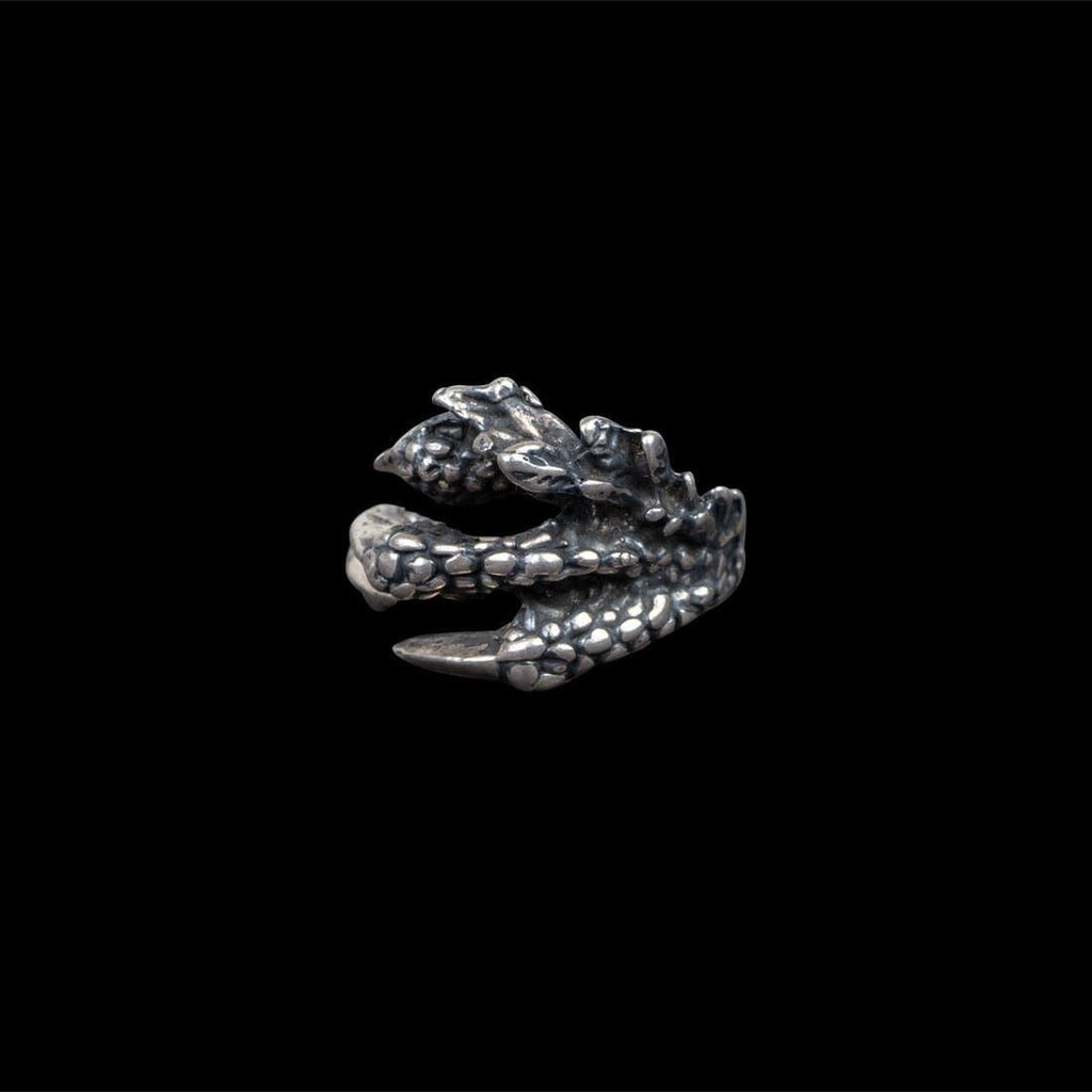 DRAGON CLAW - Rock and Jewel
