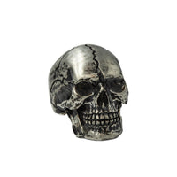 FINISHED SKULL - Rock and Jewel