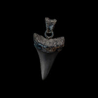 G.W. SHARK TOOTH (BLACK) - Rock and Jewel