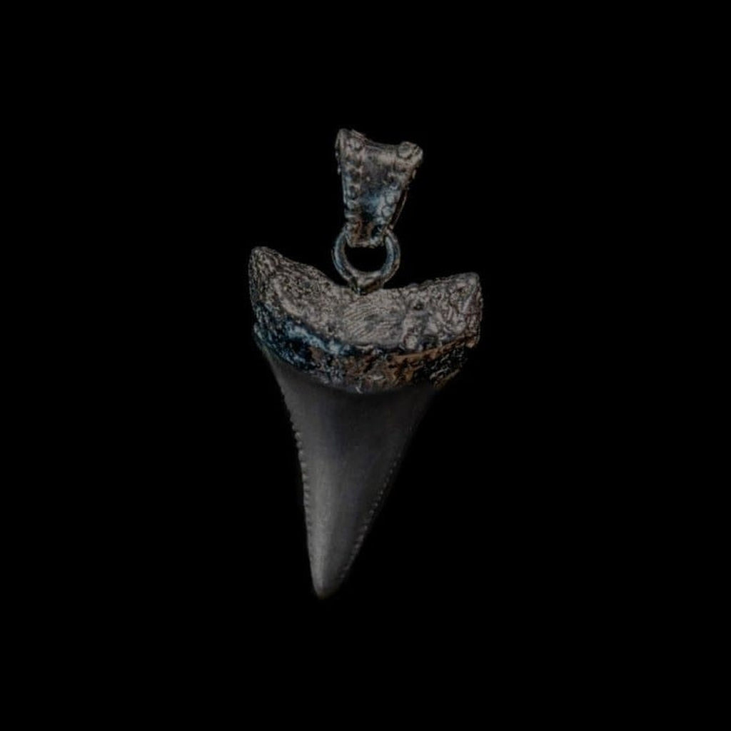 G.W. SHARK TOOTH (BLACK) - Rock and Jewel