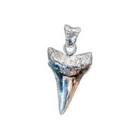 G.W. SHARK TOOTH (SILVER) - Rock and Jewel